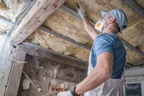 Best Commercial Insulation in Ypsilanti, MI