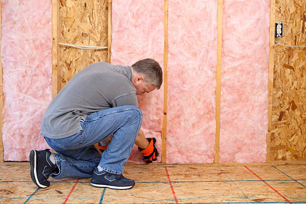Best Insulation Installation Services in Ypsilanti, MI